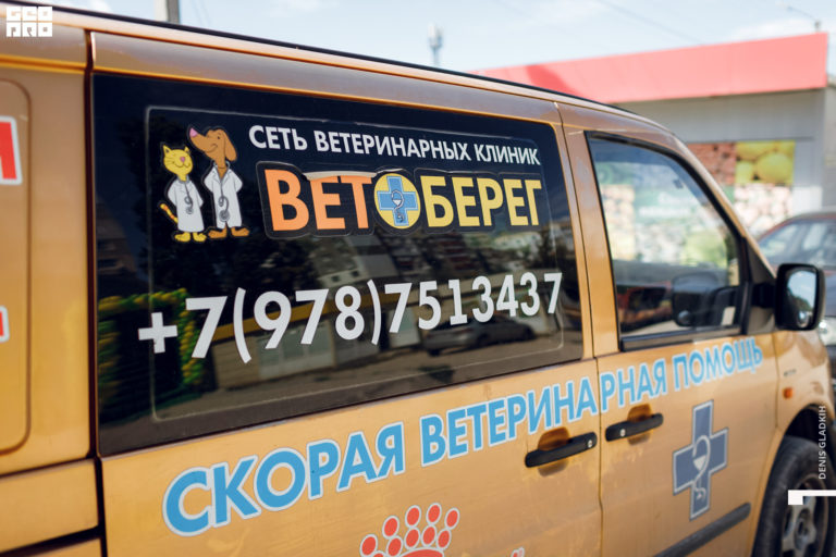 скорая помощь для животных